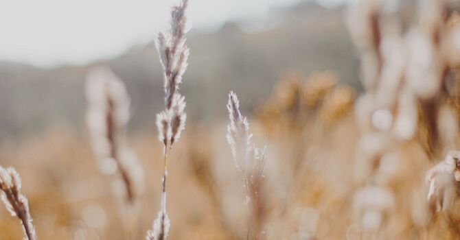 Noon Aesthetics Peels & Facials